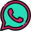Whatsapp Insectos Auxiliares